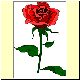 Blume10.gif
