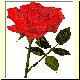 Blume13.gif