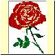 Blume15.gif