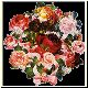 Blume37.gif