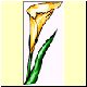 Blume38.gif