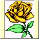 Blume41.gif