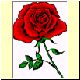 Blume43.gif