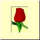 Blume8.gif