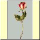 Blume.gif