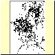 Braut15.gif